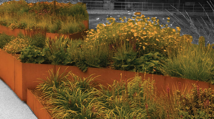 Community Garden