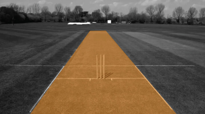 Cricket Pitch
