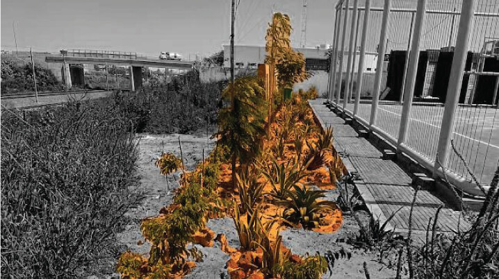 Bande de plantes